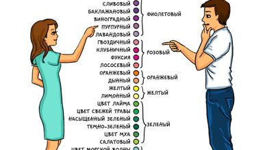 Photo of Различие между мужчинами и женщинами