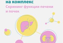 Photo of Функции печени и почек