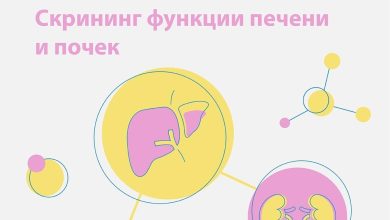 Photo of Функции печени и почек