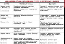 Photo of Функции мышц и костей