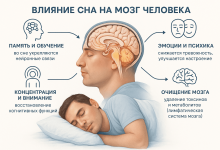 Photo of Влияние сна на функции организма